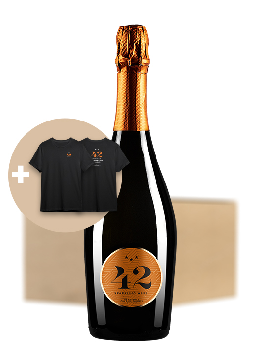 Carton 42 + T-shirt