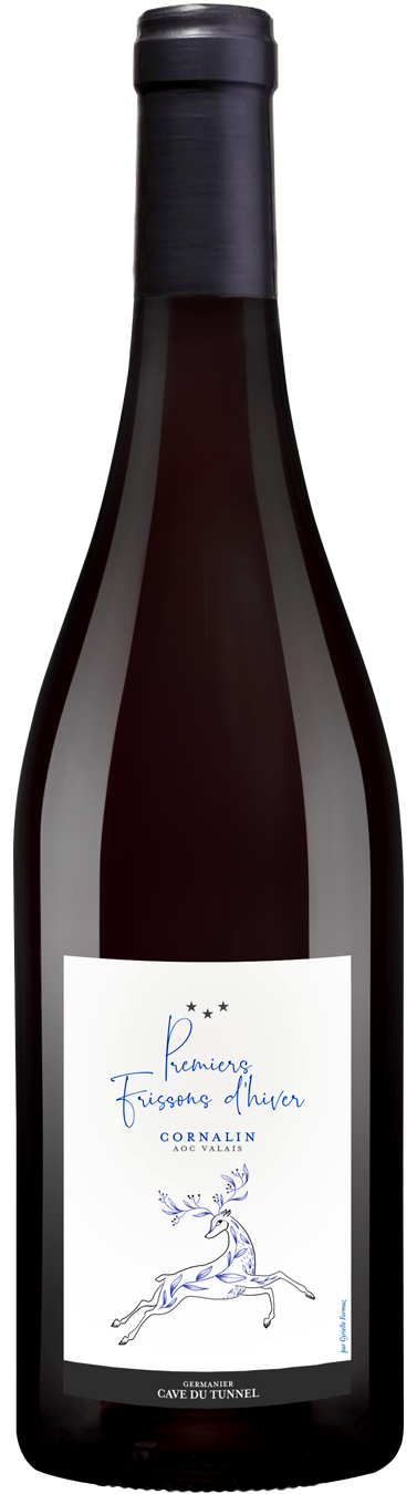 Premiers Frissons d'Hiver