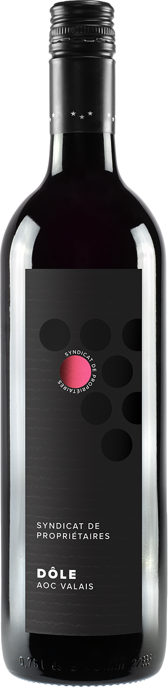 Dôle Syndicat de Propriétaires