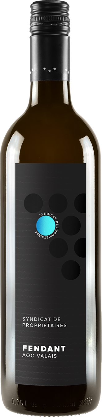 Fendant Syndicat de Propriétaires
